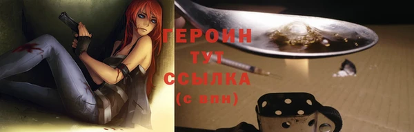 гашик Пересвет